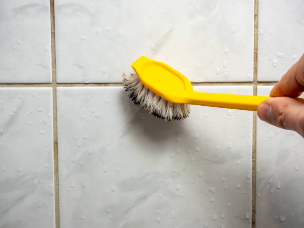 Best Mold Cleaning Services  in Pine Beach, NJ